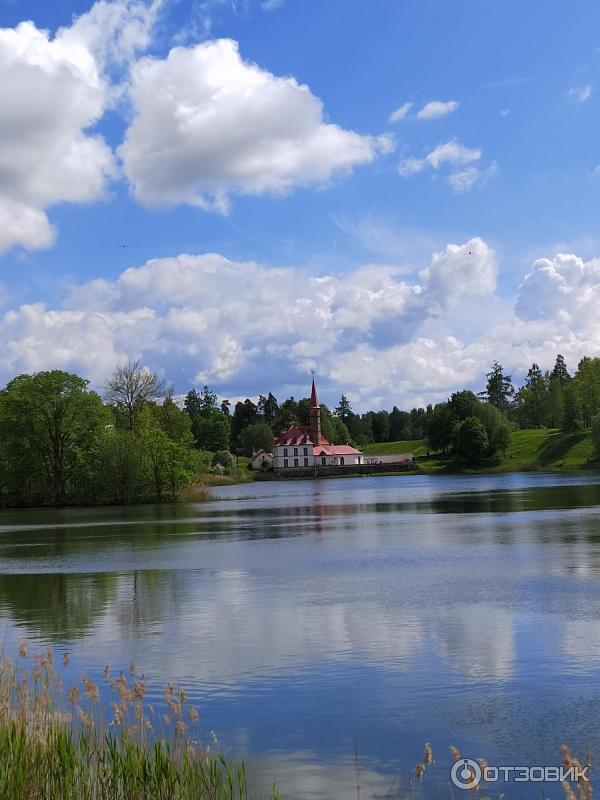 Приоратский дворец (Россия, Ленинградская область) фото