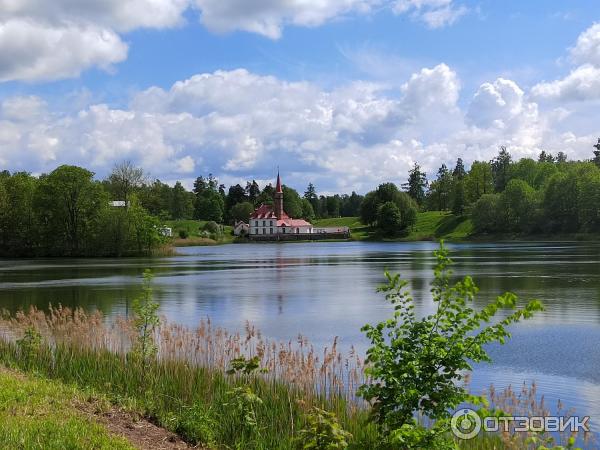 Приоратский дворец (Россия, Ленинградская область) фото