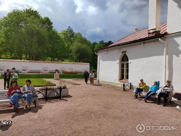 Приоратский дворец (Россия, Ленинградская область) фото