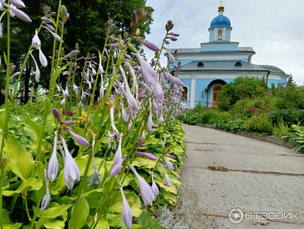 Оптина Пустынь