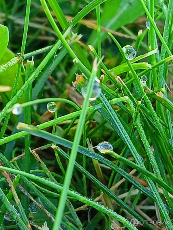 Оптина Пустынь