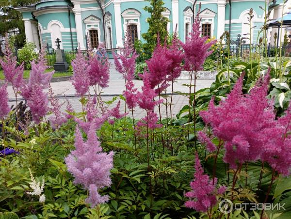 Оптина Пустынь