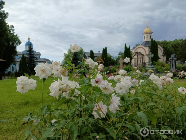 Оптина Пустынь