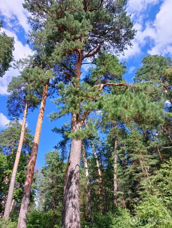 Оптина Пустынь