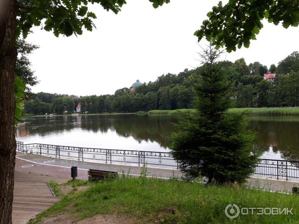 Озеро Тихое (Россия, Светлогорск) фото