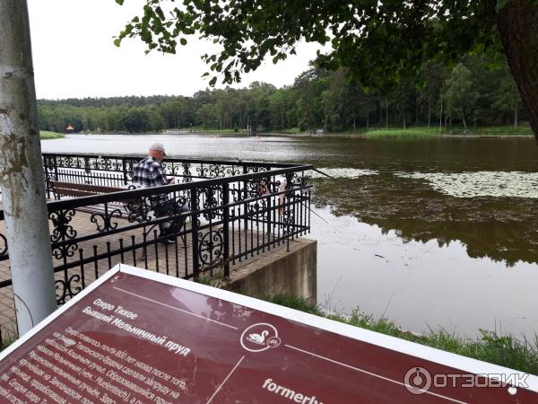 Озеро Тихое (Россия, Светлогорск) фото