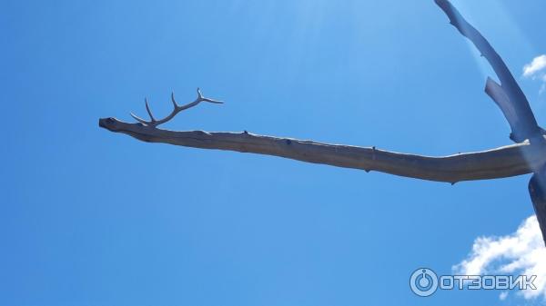 Ленд-арт парк Тужи (Россия, Забайкальский край) фото