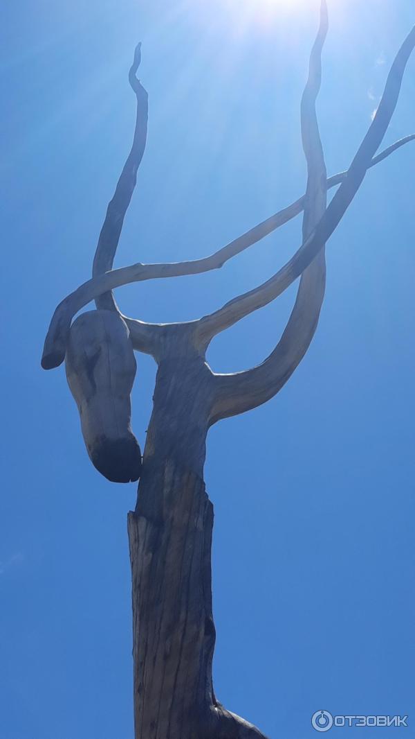 Ленд-арт парк Тужи (Россия, Забайкальский край) фото