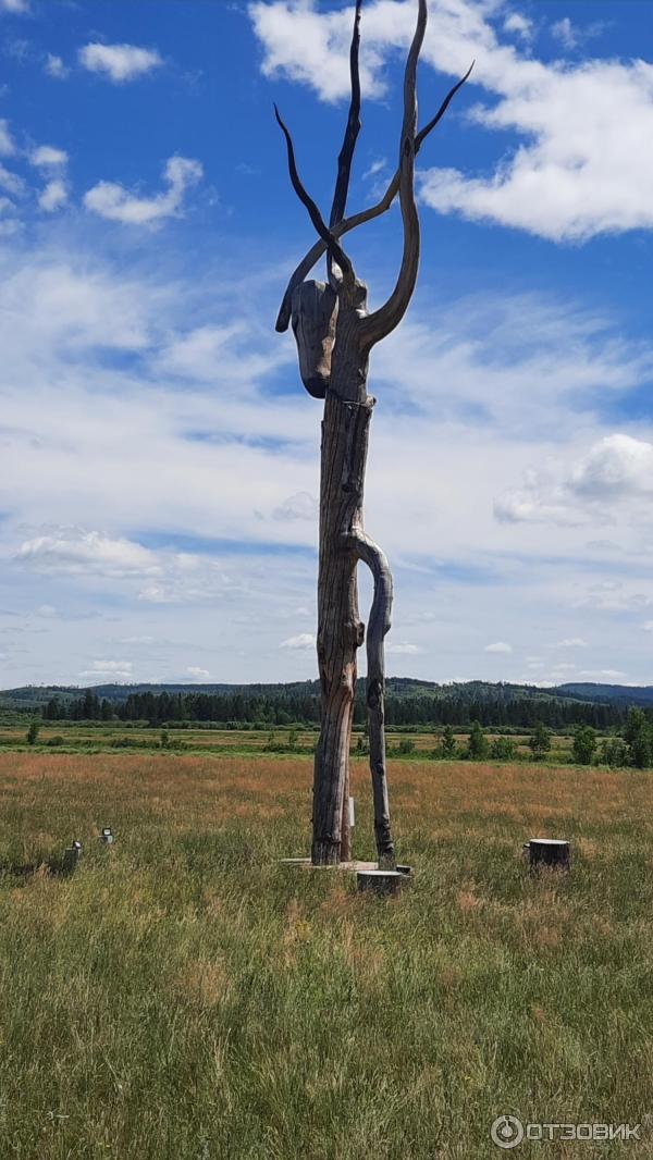 Ленд-арт парк Тужи (Россия, Забайкальский край) фото