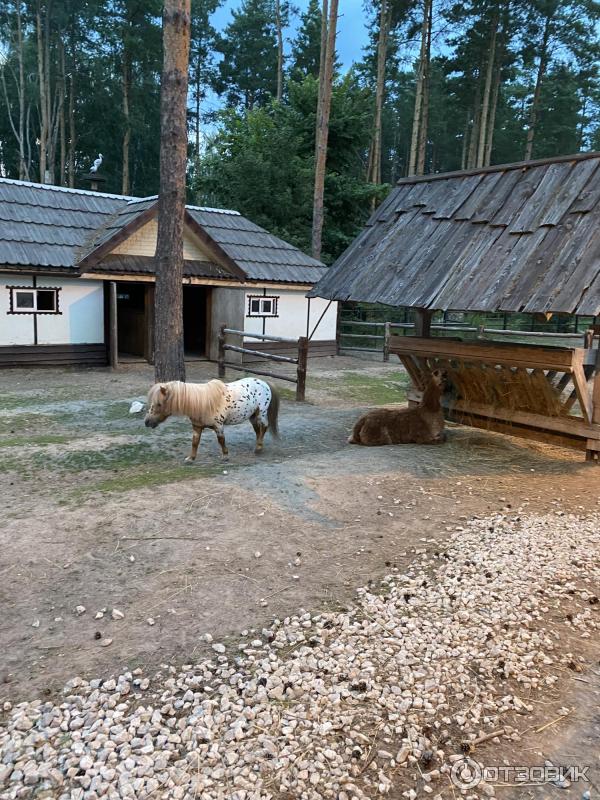 Развлекательный комплекс В некотором царстве (Россия, Рязань) фото