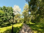 Зона отдыха в Печатниках (Россия, Москва) фото