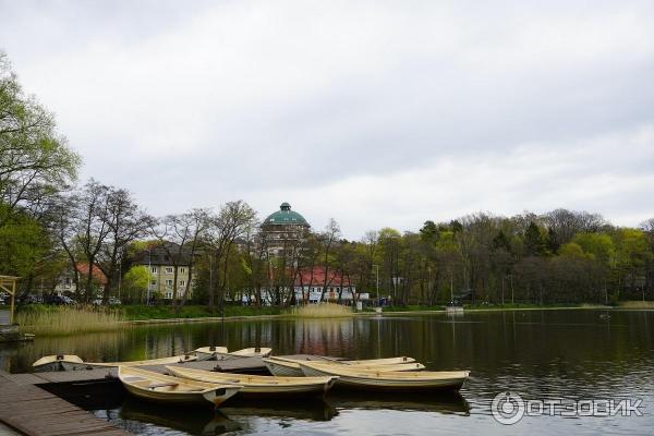 Озеро в Светлогорске