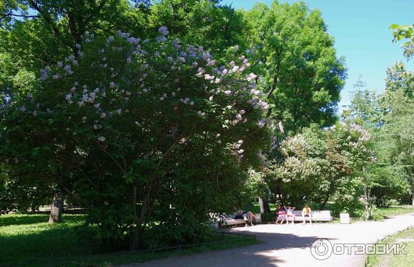 Александровский парк в Санкт-Петербурге