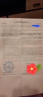 Сеть магазинов "Много мебели" (Россия) фото