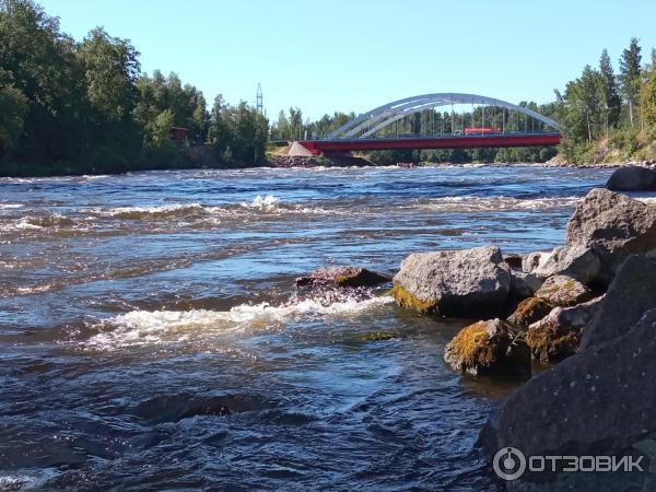 База отдыха Лосево Парк (Россия, Ленинградская область) фото