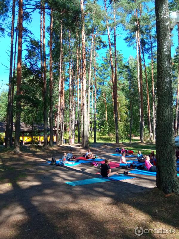 База отдыха Лосево Парк (Россия, Ленинградская область) фото