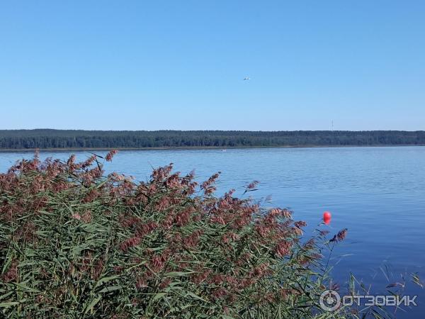 База отдыха Лосево Парк (Россия, Ленинградская область) фото