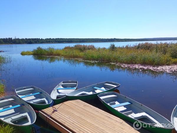 База отдыха Лосево Парк (Россия, Ленинградская область) фото