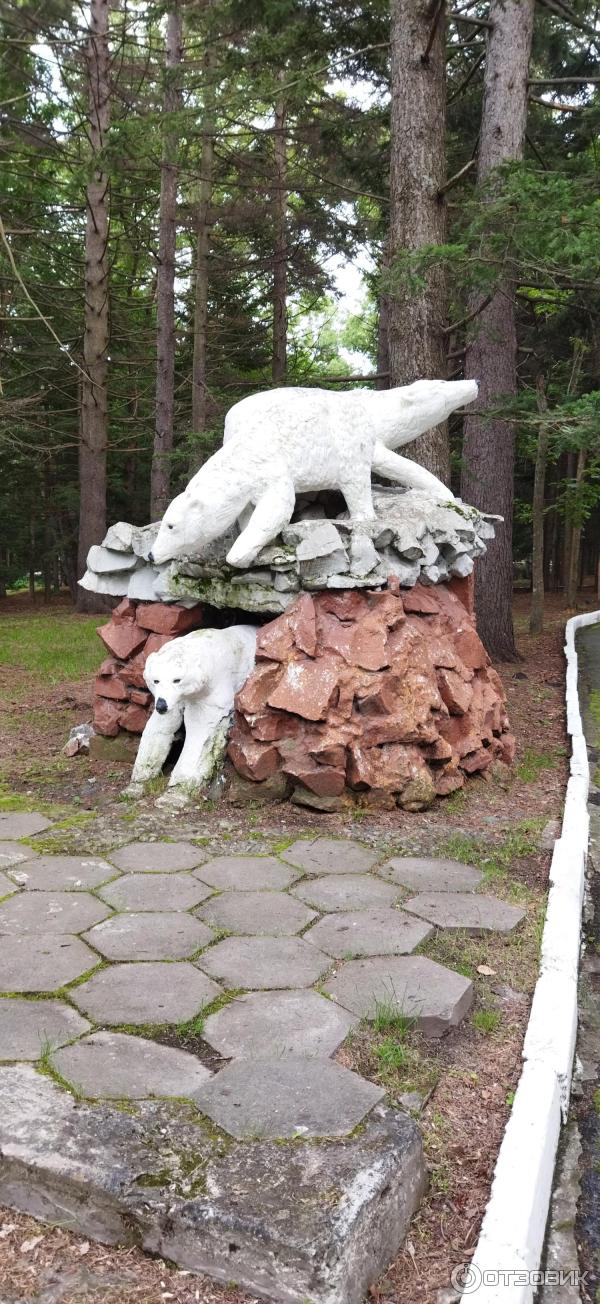 Военный санаторий Океанский (Россия, Владивосток) фото