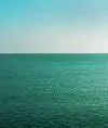Света Край