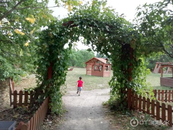 Дендрологический парк (Россия, Переславль-Залесский) фото