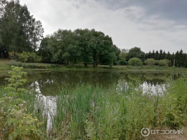 Дендрологический парк (Россия, Переславль-Залесский) фото