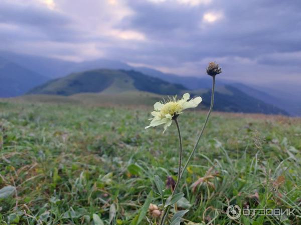 Экскурсия на перевал Актопрак (Россия, Кабардино-Балкария) фото