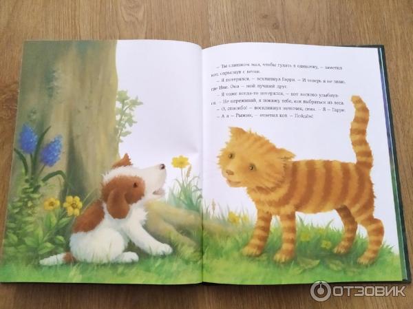 Книга Большое приключение маленького щенка Холли Вебб фото