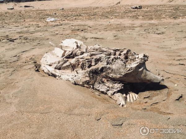 Экскурсия на ракетный Корабль-экраноплан проекта 903 Лунь (Россия, Каспийск) фото