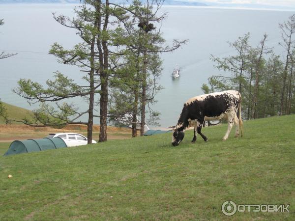 Отдых на о. Ольхон (Россия, Иркутская область) фото