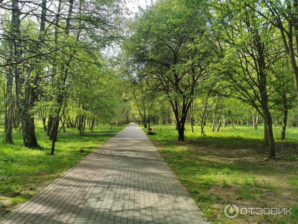 Достопримечательности Светлогорска (Россия, Калининградская область) фото