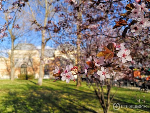 Достопримечательности г. Мадрид (Испания) фото