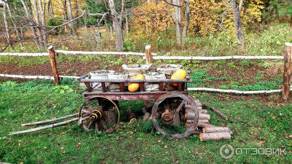 Дендрологический парк. Переславль-Залесский.