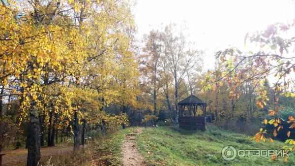 Дендрологический парк. Переславль-Залесский.