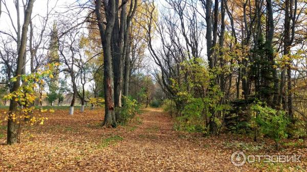 Дендрологический парк. Переславль-Залесский.