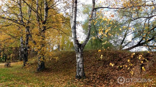 Дендрологический парк. Переславль-Залесский.