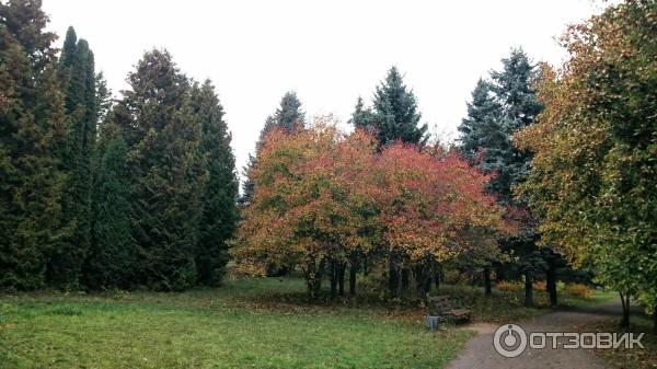 Дендрологический парк. Переславль-Залесский.