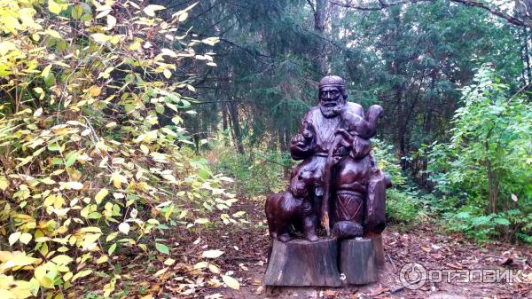 Дендрологический парк. Переславль-Залесский.