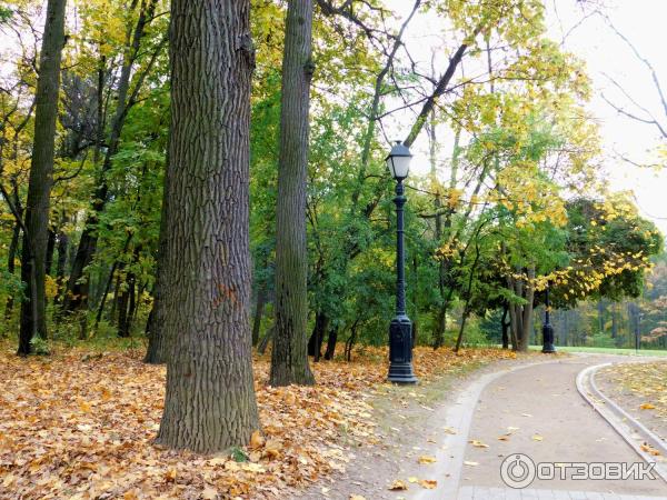 Музей-заповедник Царицыно (Россия, Москва) фото