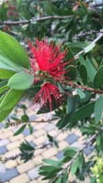 Турагентство "Центр гостиничных решений" фото