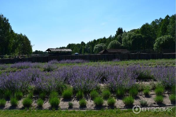 Агротуристический комплекс Коробчицы (Беларусь, Гродненская область) фото