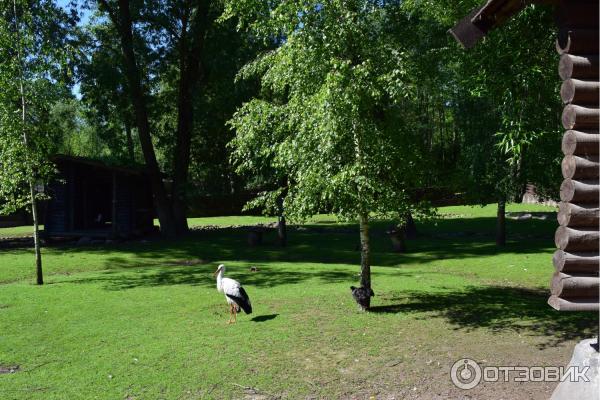 Агротуристический комплекс Коробчицы (Беларусь, Гродненская область) фото