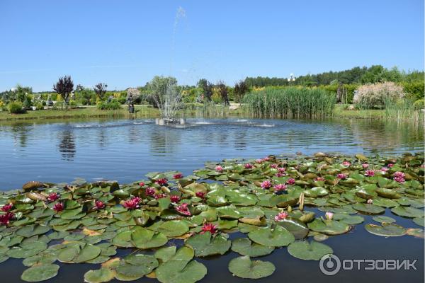 Агротуристический комплекс Коробчицы (Беларусь, Гродненская область) фото