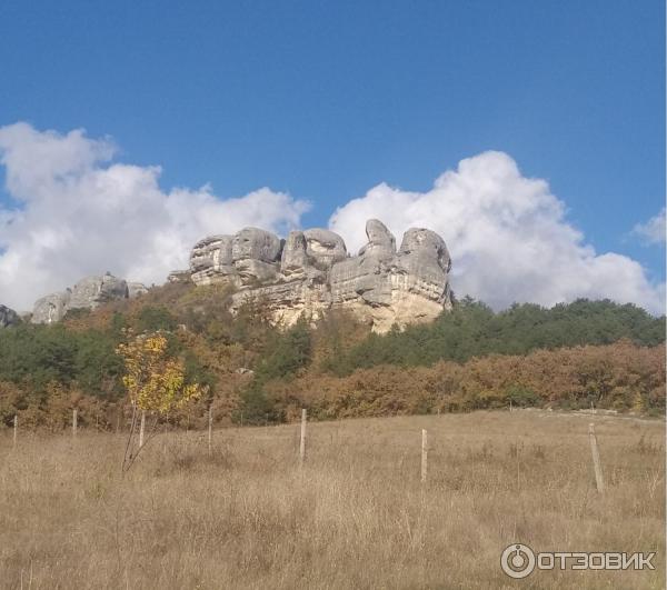 Ослиная ферма Чудо-ослик (Крым) фото