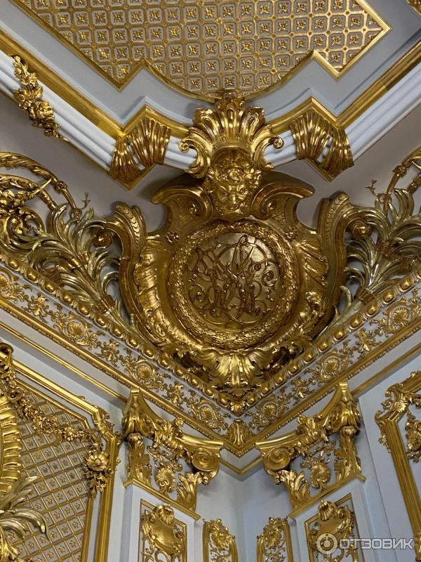 Дом-музей А. А. Половцева (Россия, Санкт-Петербург) фото
