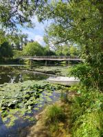 Город Переславль-Залесский (Россия, Ярославская область) фото