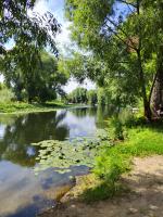 Город Переславль-Залесский (Россия, Ярославская область) фото