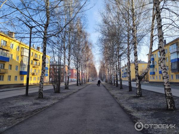 Аллея в поселке шахты 12