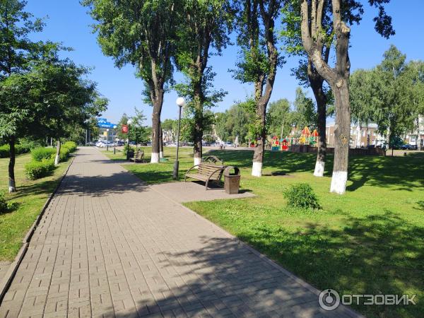 Центр города. Парк