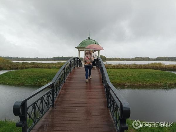 Музей деревянного зодчества Витославлицы (Россия, Новгородская область) фото